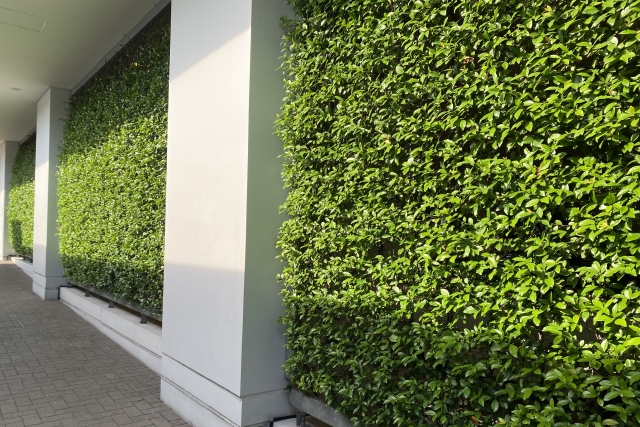 壁面緑化のイメージ