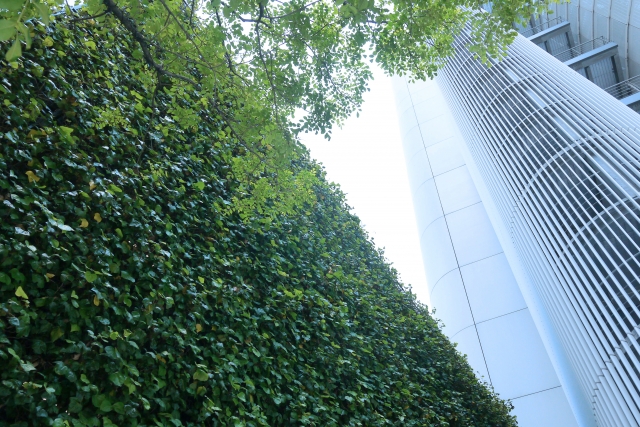 壁面緑化導入の覚悟メインビジュアル